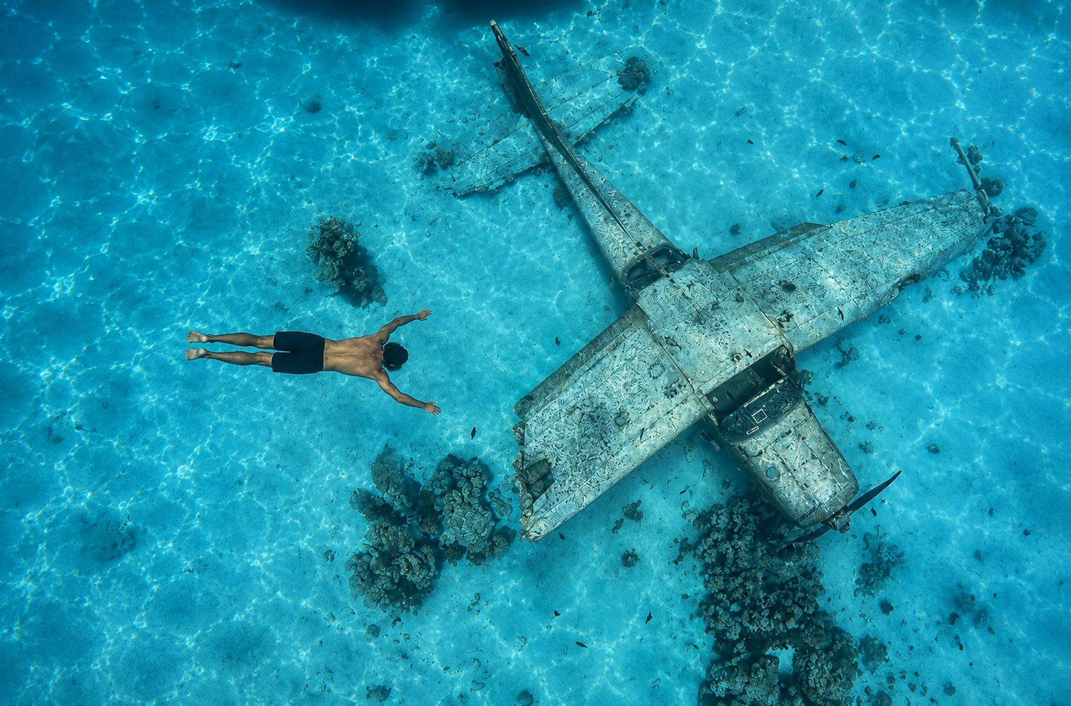 Snorkeling sur épave dans le lagon de Tahiti